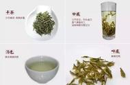 中国非遗黄茶：隐秘之美令人震撼（9）