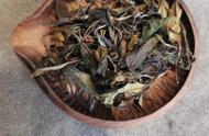 白茶全解析：中国茶中的