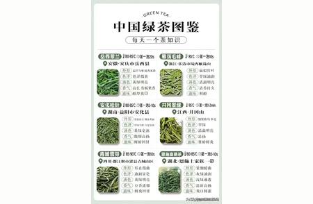 中国绿茶大全：收藏版，知识增长指南