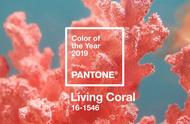 2019年最热门的宝石：活色珊瑚与蛋白石的魅力之旅