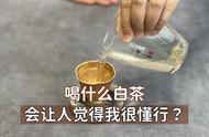 白茶的品鉴：喝白毫银针才是真懂行，还是寿眉就是浪费？