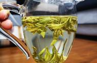 绿茶：秋天的一抹绿，回味无穷