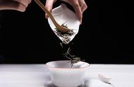 小仙女的黄茶世界：揭秘君山银针以外的黄茶种类